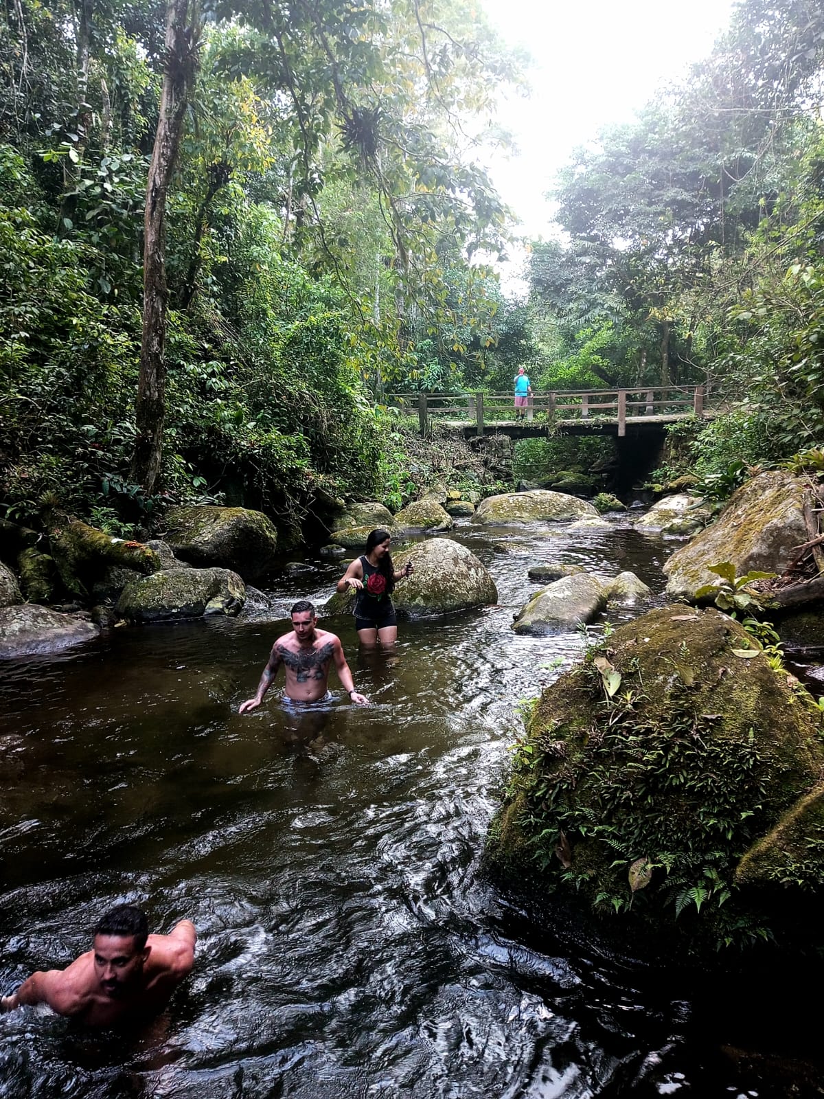 Cachoeira majestosa em meio à floresta